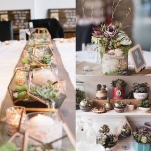 eco-friendly wedding, succulent table decor